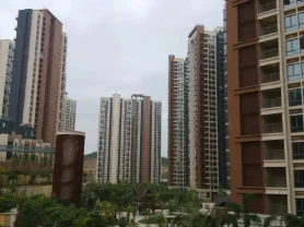 深圳振業(yè)天巒